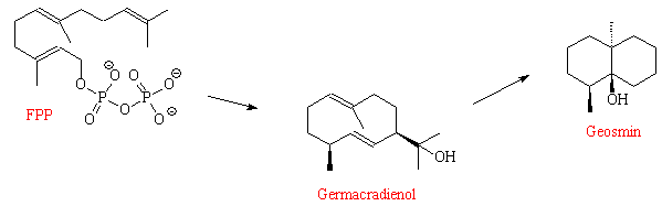 Biosynthesis of geosmin