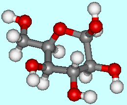 Glucose - a monosaccharide - Click for 3D structure