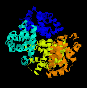 haemoglobin