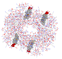 stick structure of Hg