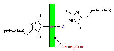 oxygen binding site