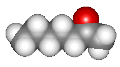 Heptan-2-one, click for 3D structure