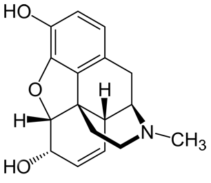 Structure of morphine
