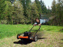 lawnmower