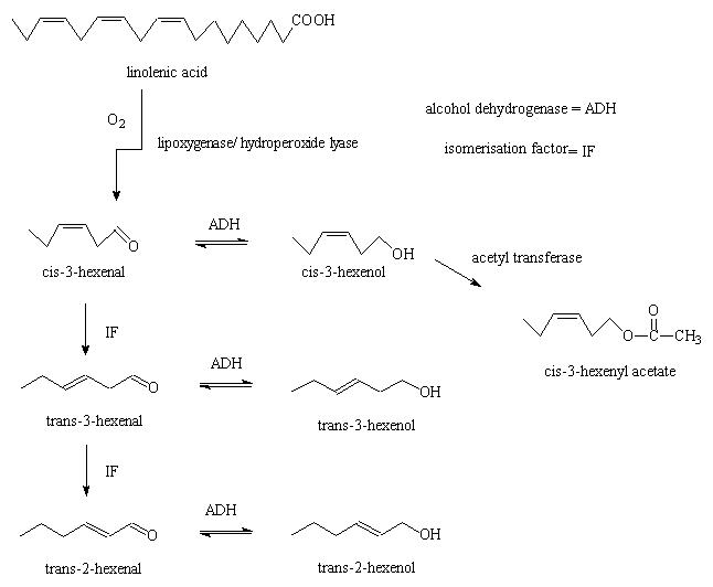 synthesis of hexenal