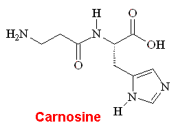 Carnosine