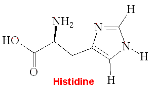 Histidine - click for 3D structure