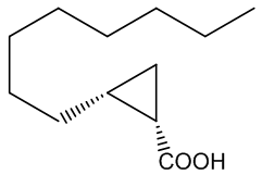 cis-occa