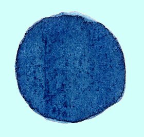 Indigo powder plant extract