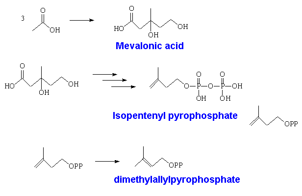 First steps in terpene synthesis