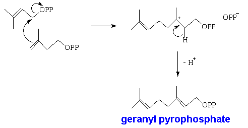 Second steps in synthesising terpenes