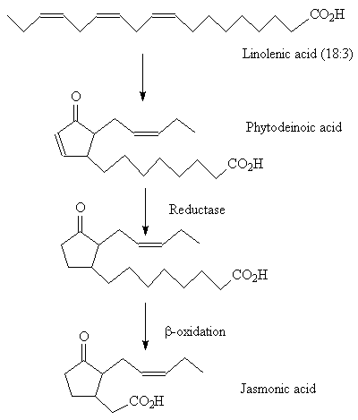 oxidation