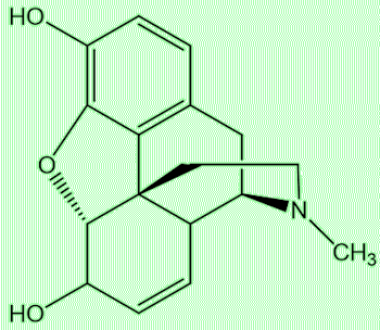 Morphine