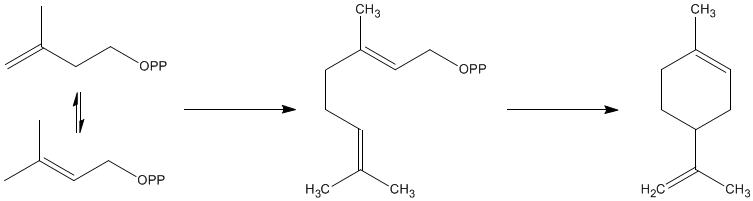 Biosynthesis of Limonene