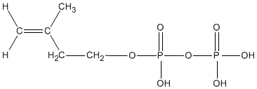 3-Methyl-3-butenyl pyrophosphate. Click for 3D VRML structure