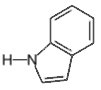 indoleamine - click for 3D structure