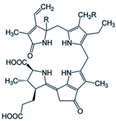 Dinoflagellate luciferin