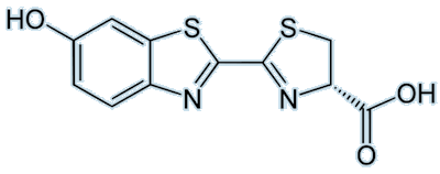 Firefly luciferin