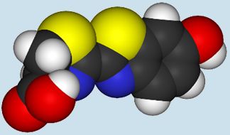 Spacefill model of luciferin