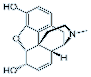 Structure of morphine