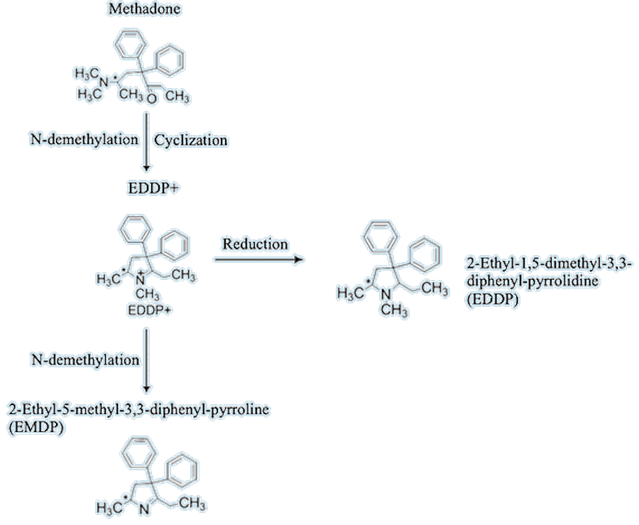 Methadone metabolisation