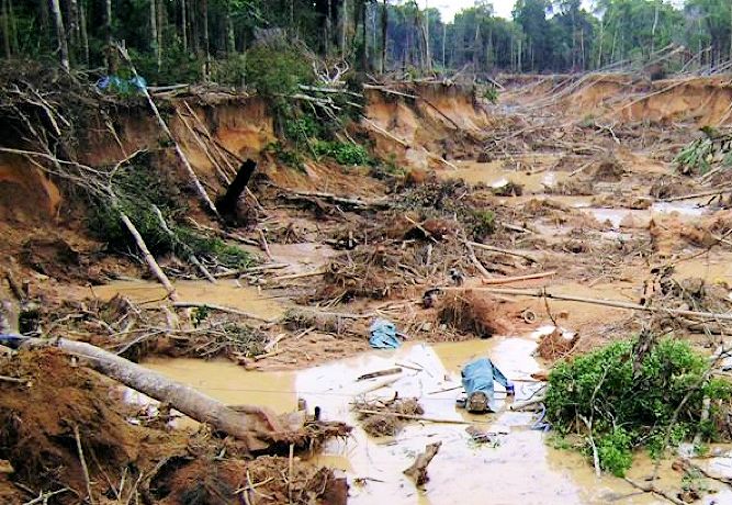 Amazon devastation due to gold mining