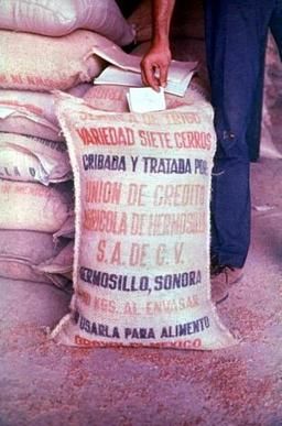 An Iraqi grain sack from 1971