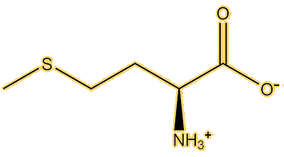 Methionine