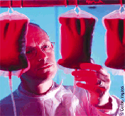 Blood bags