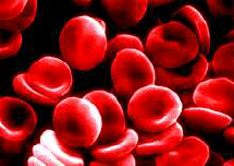 red blood