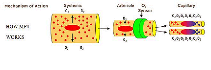 How it works