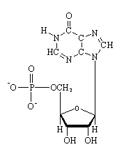 IMP - click for 3D structure