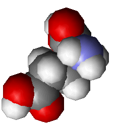 Spacefill of glutamic acid - click for 3D VRML structure