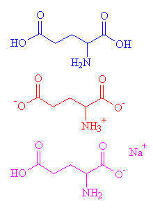 Monosodium Glutamate - MOTM JUly 2007 - HTML-only version