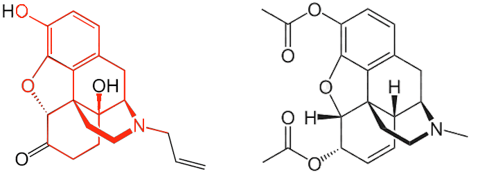 Comparison of structures of narcal and heroin