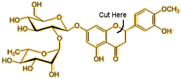 neohesperidin