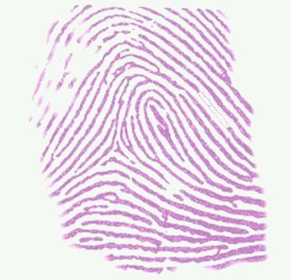 Ninhydrin staining thumbprint