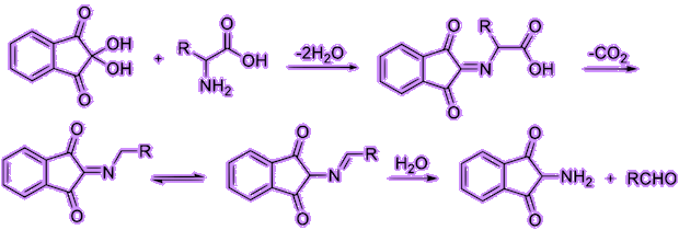 First stage of the reaction