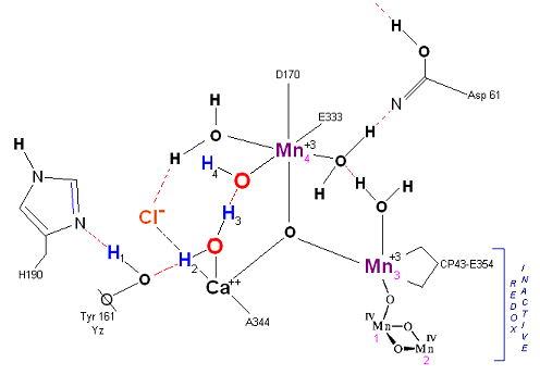 Resting State S1