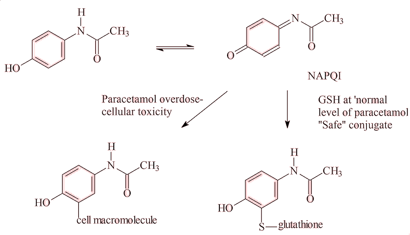 Toxicity of Paracetamol