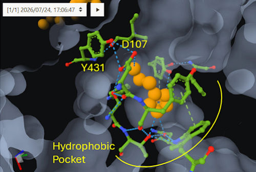 Histamine in the H1 receptor binding pocket