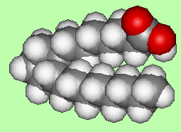 Spacefill of prostanoic acid