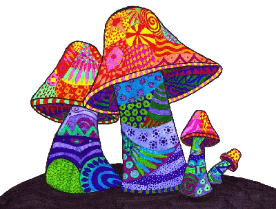 Magic mushrooms