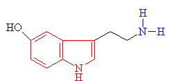 Serotonin - click for 3D structure