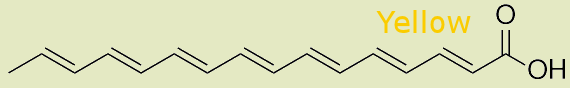 psittacofulvin with a carboxylic acid end-group
