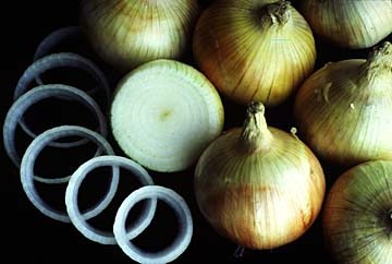 Onions, image taken from: http://plantanswers.tamu.edu