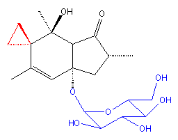 Ptaquiloside