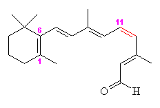 cis-retinal - click for 3D structure