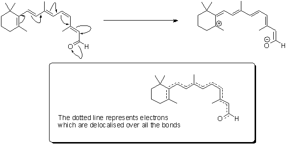 Resonance structures of retinal