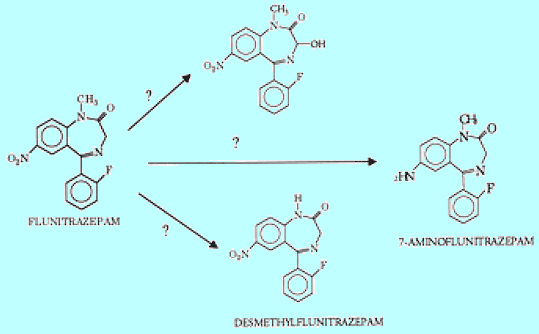 Related metabolites